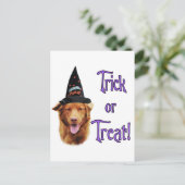 Nova Scotia Duck Tolling Retriever Trick Briefkaart (Staand voorkant)