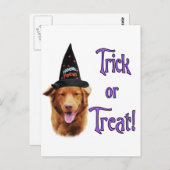 Nova Scotia Duck Tolling Retriever Trick Briefkaart (Voorkant / Achterkant)