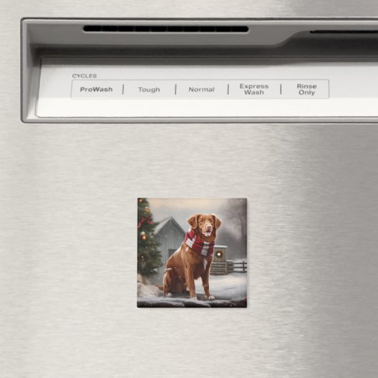 Nova Scotia Eend Toller Hond in Sneeuw Kerstmis Magneet (Insitu (Vaatwasser))