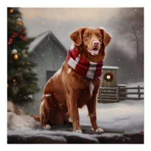Nova Scotia Eend Toller Hond in Sneeuw Kerstmis Perfect Poster