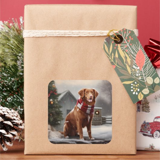 Nova Scotia Eend Toller Hond in Sneeuw Kerstmis Vierkante Sticker (Feestdagen)