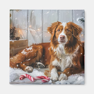 Nova Scotia Eend Toller Hond Kerstfeest Magneet