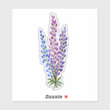 Nova Scotia Lupines