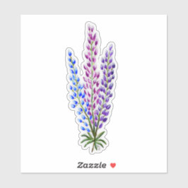 Nova Sotia Lupines Sticker