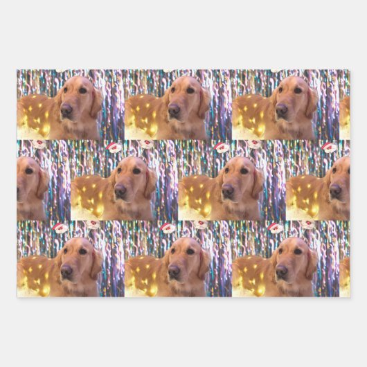 Nova the Golden Retriever - Feuilles de papier à e (Devant 2)