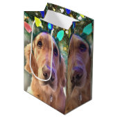 Nova the Golden Retriever - Sac cadeau de Noël (Devant Angle)