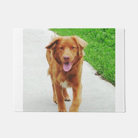 nova walking deurmat (Voorkant)