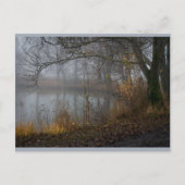 November - Boom CC0310 Briefkaart (Voorkant)