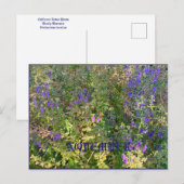 NOVEMBER BRIEFKAART (Voorkant / Achterkant)