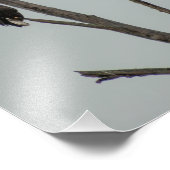 november foto afdruk (Hoek)