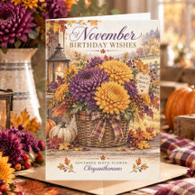 November Geboortebloem Chrysanthemum Verjaardag