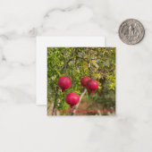 November is Pomegranate Maand! Notitiekaartje (Voorkant / Achterkant in situ)