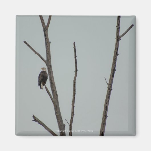 november magneet (Voorkant)