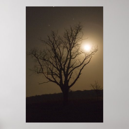 November Moon Poster (Voorkant)