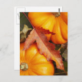 November-ontwerp Briefkaart (Voorkant / Achterkant)