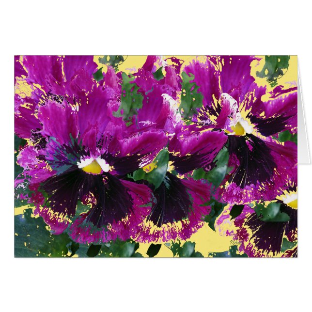 November Pansies (Voorkant Horizontaal)