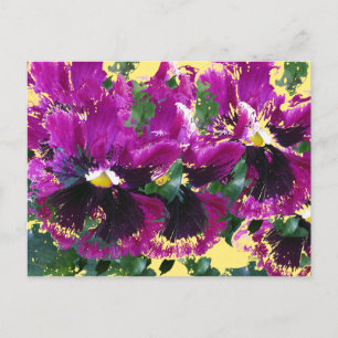 November Pansies Briefkaart