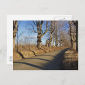 November Road Briefkaart (Voorkant / Achterkant)