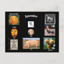 November Schorpioen Geboortemaand Ansichtkaart