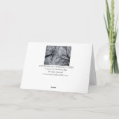 November Sky Through Trees Foto Kaart (Achterkant)