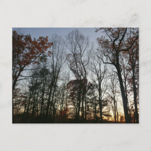 November zonsondergang briefkaart