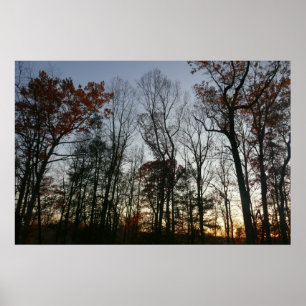 November zonsondergang poster