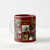 novembre 2011 tasse (Devant gauche)