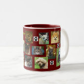 novembre 2011 tasse (Devant droit)