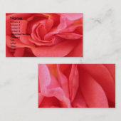 NOVINO - Red Rose Visitekaartje (Voorkant / Achterkant)