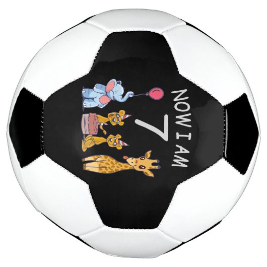 Now I, 7 ans d'or 7th Birthday (Tourné)