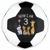 Now I le 3e jour du Birthday (Devant)