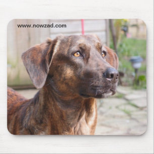Nowzad Rescue Dog Brin Mousepad Muismat