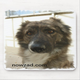 Nowzad Rescue Wylie Mousepad Muismat