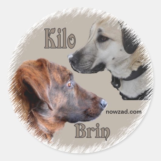 Nowzad Secourt Chiens Brin & Kilo Sticker (Devant)