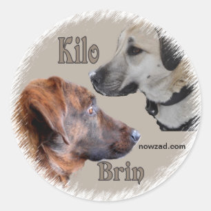 Nowzad Secourt Chiens Brin & Kilo Sticker