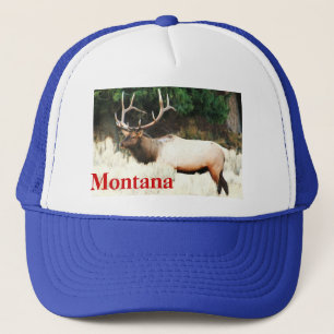 nr. # 14,CCP-No406,MF Truckers Pet, MT. ELK Trucker Pet