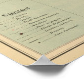 Nr. 21 Negros Poster (Hoek)