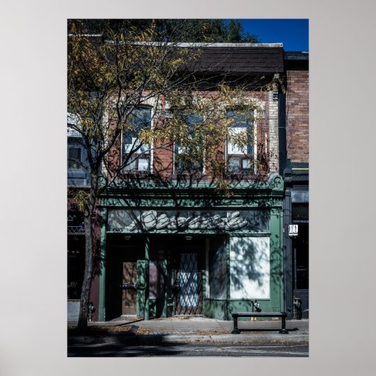 Nr 808 Koningin ST E 4 Kleur Versie Poster (Voorkant)