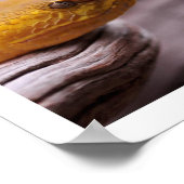 NR-slang fotografie_Page000 Poster (Hoek)