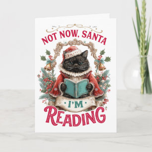Nu Even Niet Kerstman Ik Lees Feestdagen Kaart