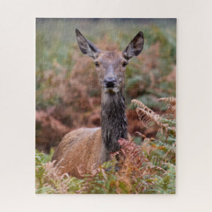 Nu heb je mijn aandacht - 16x20 - 520 stuks legpuzzel