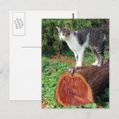 Nu heb je mijn aandacht - Kat Kaart (Voorkant / Achterkant)