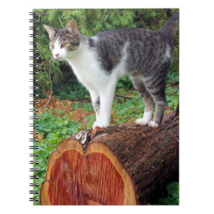 Nu heb je mijn aandacht - Kat Notitieboek