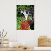 Nu heb je mijn aandacht - Kat Poster (Keuken)