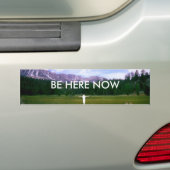 NU HIER BUMPERSTICKER (Op auto)