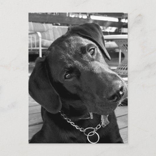 Nu ik je aandacht heb... briefkaart (Voorkant)