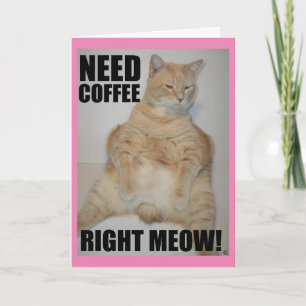 NU KOFFIE NODIG! Manx Kat Zit Grappig Kaart