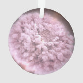 Nuage De Débris De Deux Étoiles Neutrons (dos)