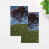 Nuages Aller À La Voile Par Signet (Bureau)