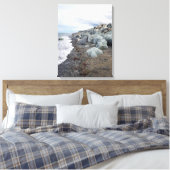 Nuages au-dessus d'une plage rocheuse toile étirée (Insitu(Chambre))